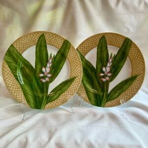 TWO Dinner Plates 222 FIFTH Rain Forest‎ Porcelain Discontinued EUC